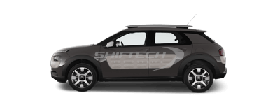 C4 Cactus