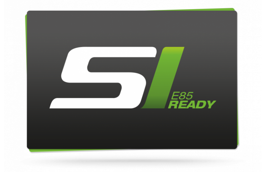 E85 logo histoire
