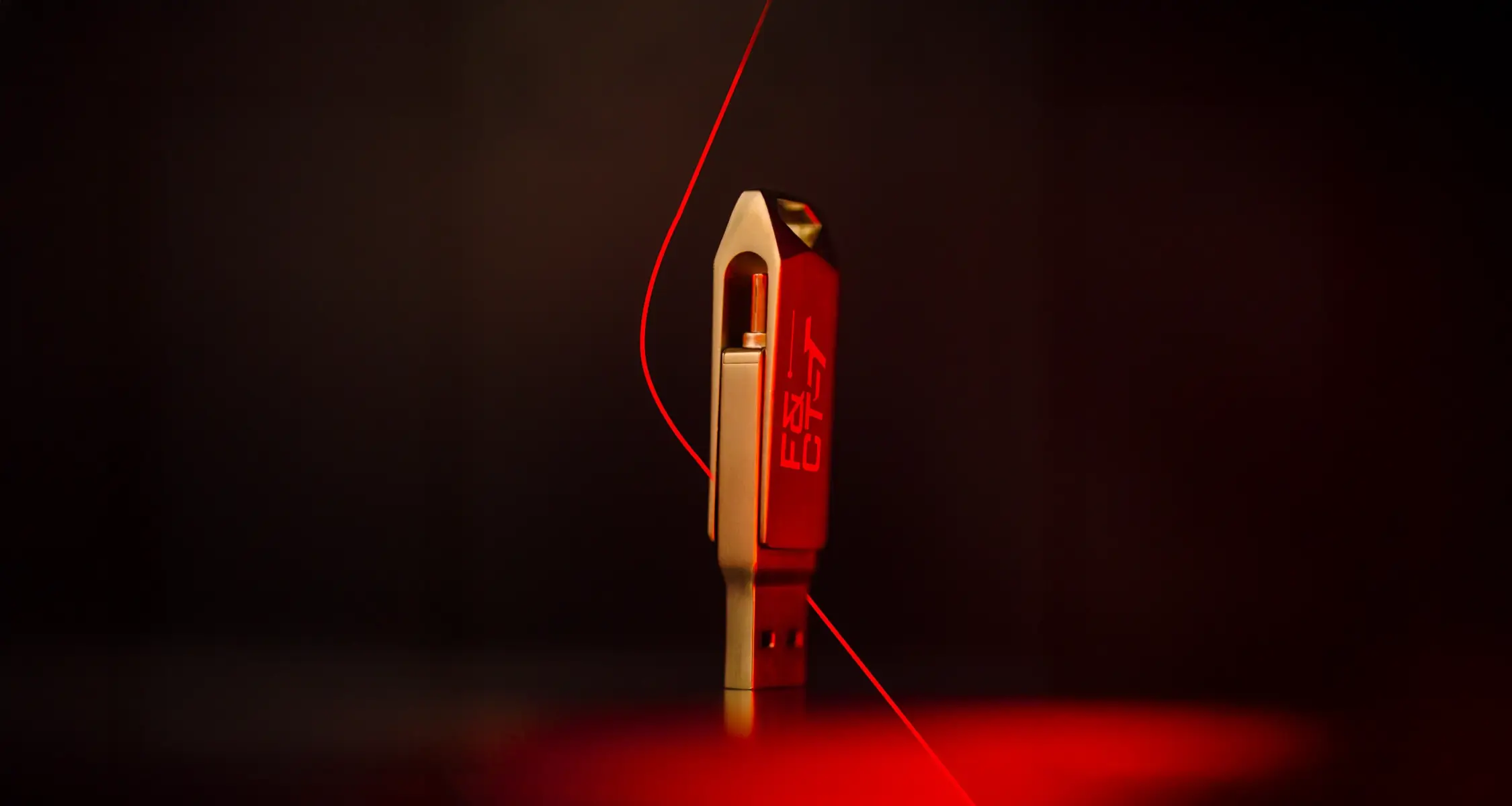 Fish and chiptuning reprogrammation moteur cle usb