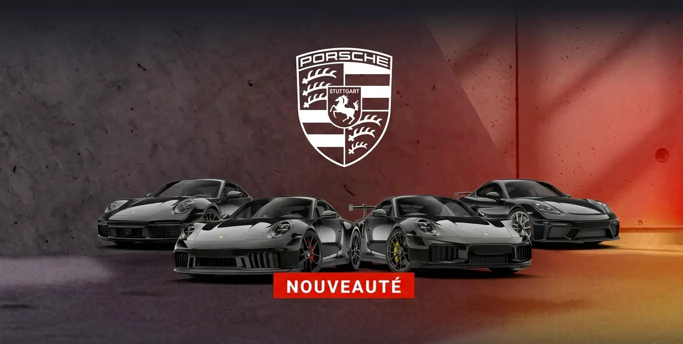Reprogrammation calculateur porsche 1365 3